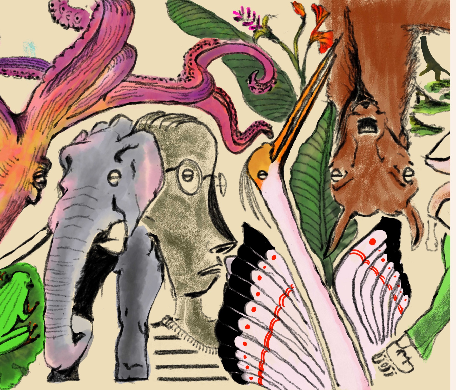 Illustrated collage of an elephant, hornbill, tree frog, octopus and other species