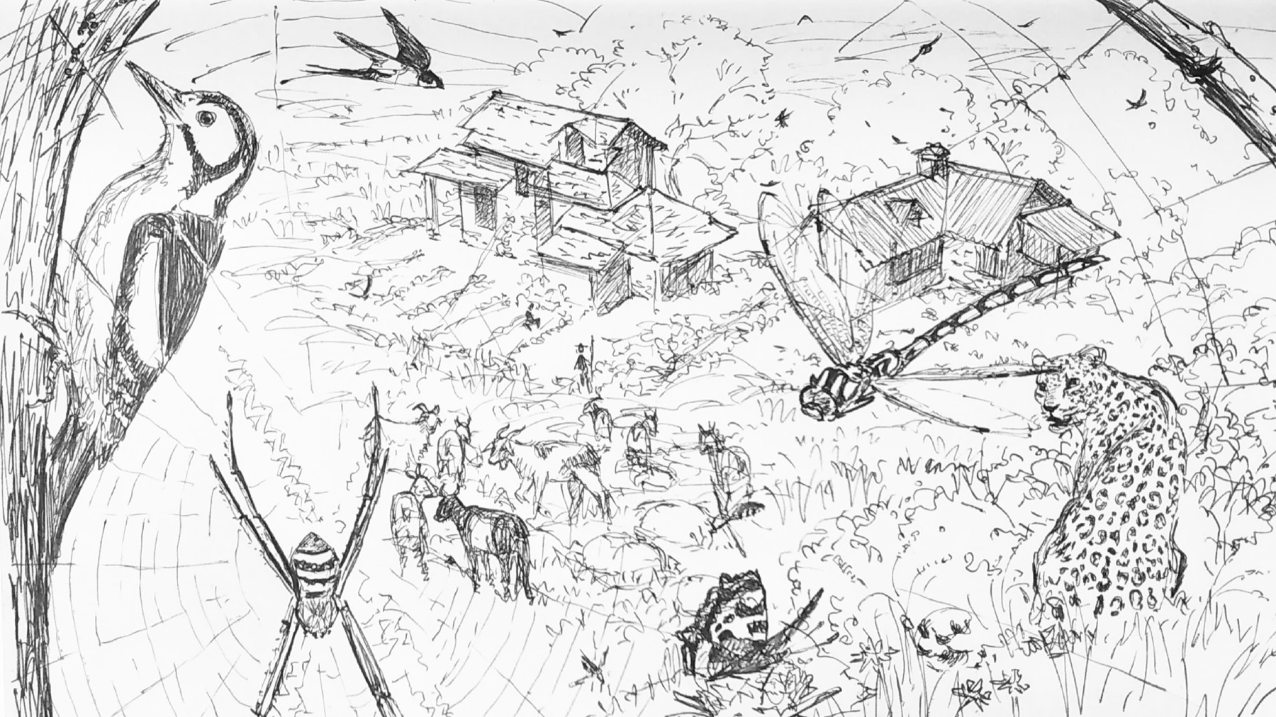 Pen sketch of a village landscape shared by a woodpecker, spider, dragonfly, leopard, cattle and swallows